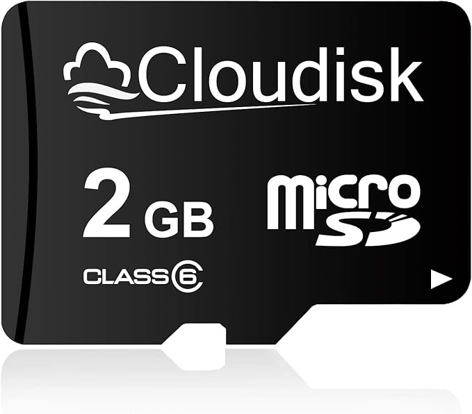 Pack of 100 Micro SD Card 2GB Flash Memory Card C6 (2GB)