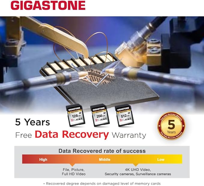 【5-Years Data Recovery】 GIGASTONE 256GB SD Card 2-Pack, 4K Camera Pro MAX, A2 4K SDXC Memory Card High Speed 4K UHD Video Compatible with Canon Kodak Digital Camera, with 2 Mini case