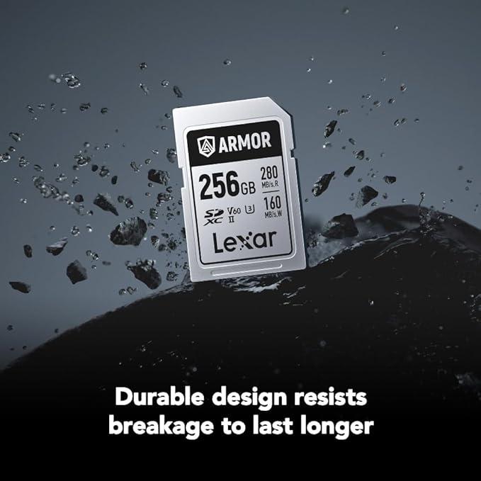 Lexar 256GB Armor Silver PRO SDXC Memory Card, UHS-II, C10, U3, V60, 6K UHD, Up to 280MB/s Read, Stainless Steel, for Professional Photographer, Videographer, Enthusiast (LSDAMSP256G-RNNNU)