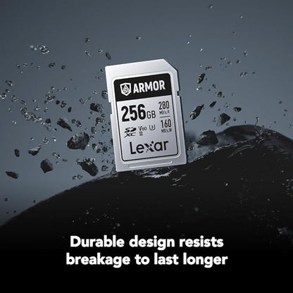 Lexar 256GB Armor Silver PRO SDXC Memory Card, UHS-II, C10, U3, V60, 6K UHD, Up to 280MB/s Read, Stainless Steel, for Professional Photographer, Videographer, Enthusiast (LSDAMSP256G-RNNNU)