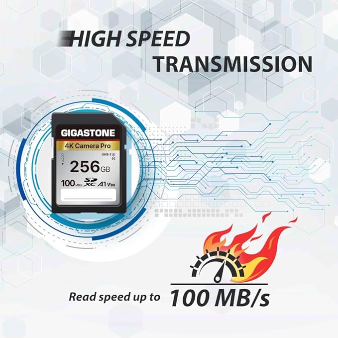 【5-Years Data Recovery】 GIGASTONE 256GB SD Card 2-Pack, 4K Camera Pro, A1 V30 SDXC Memory Card 4K UHD Video Compatible with Canon Digital Camera, with 2 Mini Cases