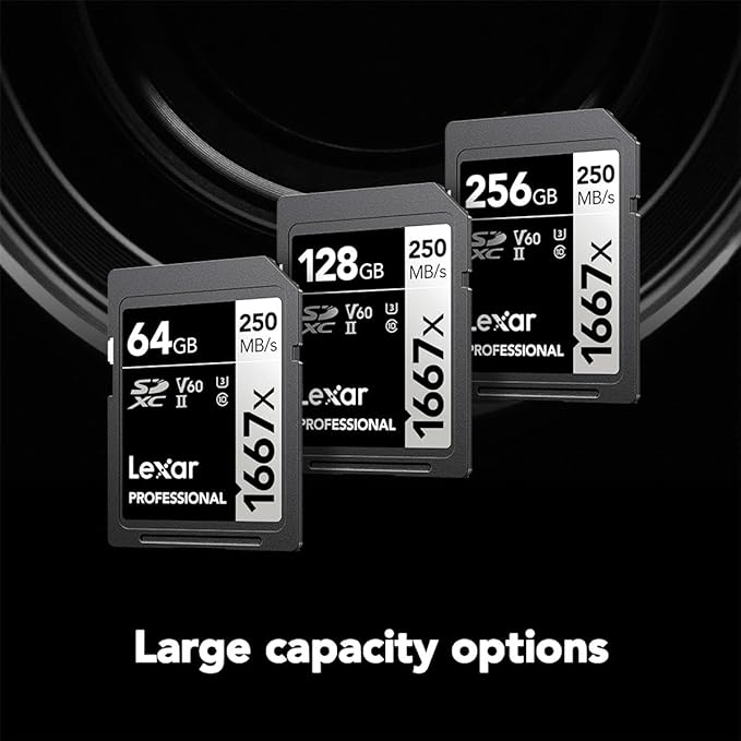 Lexar 64GB Professional 1667x SD Card, UHS-II, C10, U3, V60, Full HD, 4K, Up To 250MB/s Read SDXC Memory Card, for Professional Photographer, Videographer, Enthusiast (LSD64GCBNA1667)