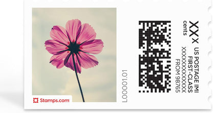 Pink Cosmos NetStamps 120-Pack (5 Sheets) Printable Postage Labels (Stamps.com Subscription Required) - Print Approved Postage - Inkjet & Laser Printers - Business, Personal, Home
