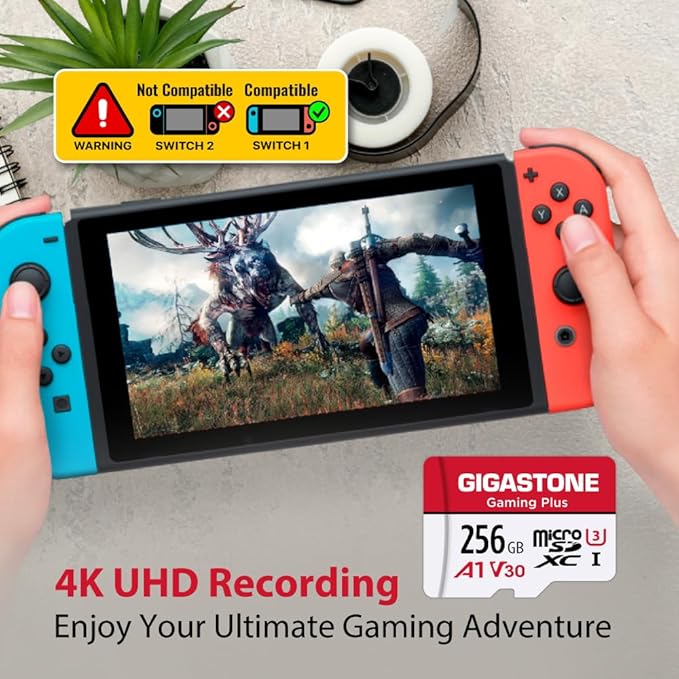 【for Switch 1 Only】 GIGASTONE 256GB Micro SD Card with USB C Card Reader, Gaming Plus, MicroSDXC Memory Card for Gaming Console, 4K Video Recording, UHS-I A1 V30 U3, up to 100MB/s, with Adapter