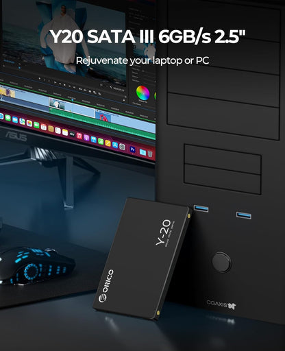 ORICO Y20 256GB SATA SSD 2.5 Inch Internal Solid State Drive, up to 500MB/s Read Speed, SATA III 6Gbps for Desktop Laptop NAS DIY External Drive