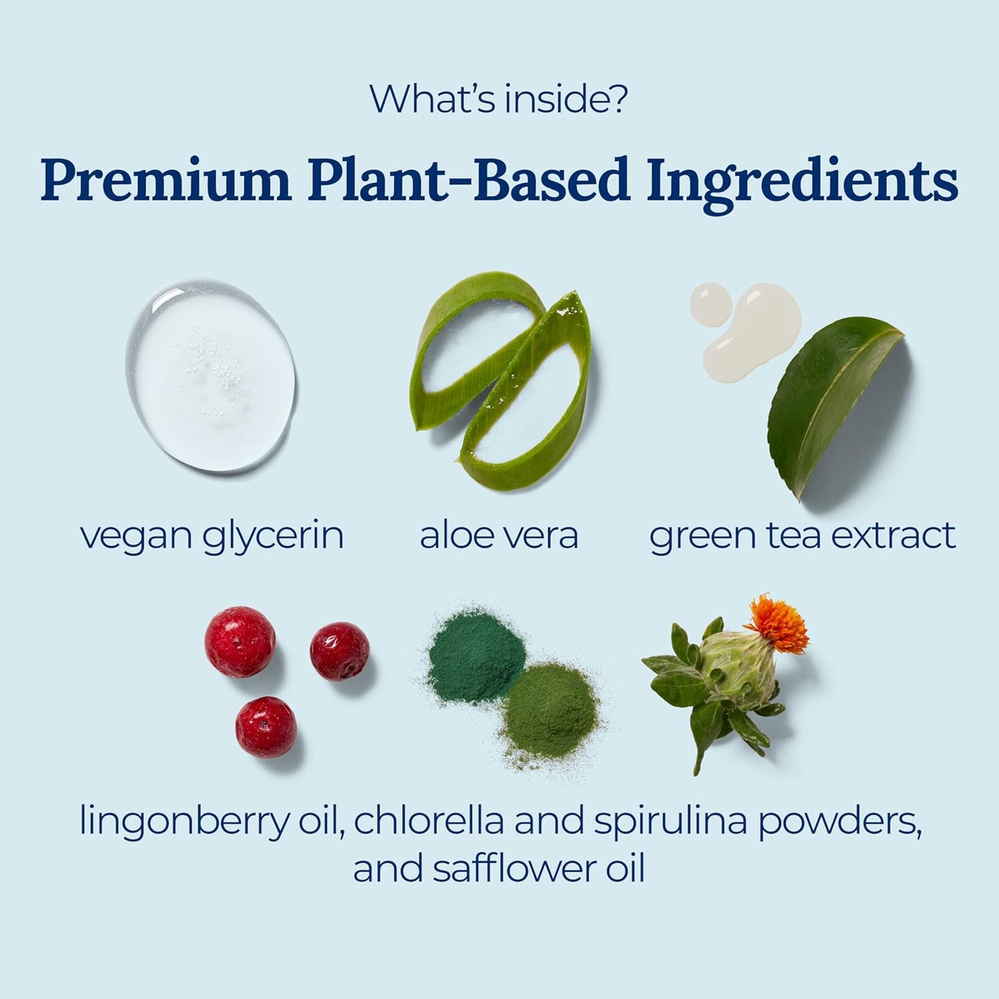 Pomegranate Basil Lotion Hand Sanitizer | Travel Size | Moisturizing Hand Lotion | Made with Aloe Vera & Essential Oils | Rich in Vitamin E | Cleanse & Moisturize | Scented Hand Sanitizer | 6-Pack