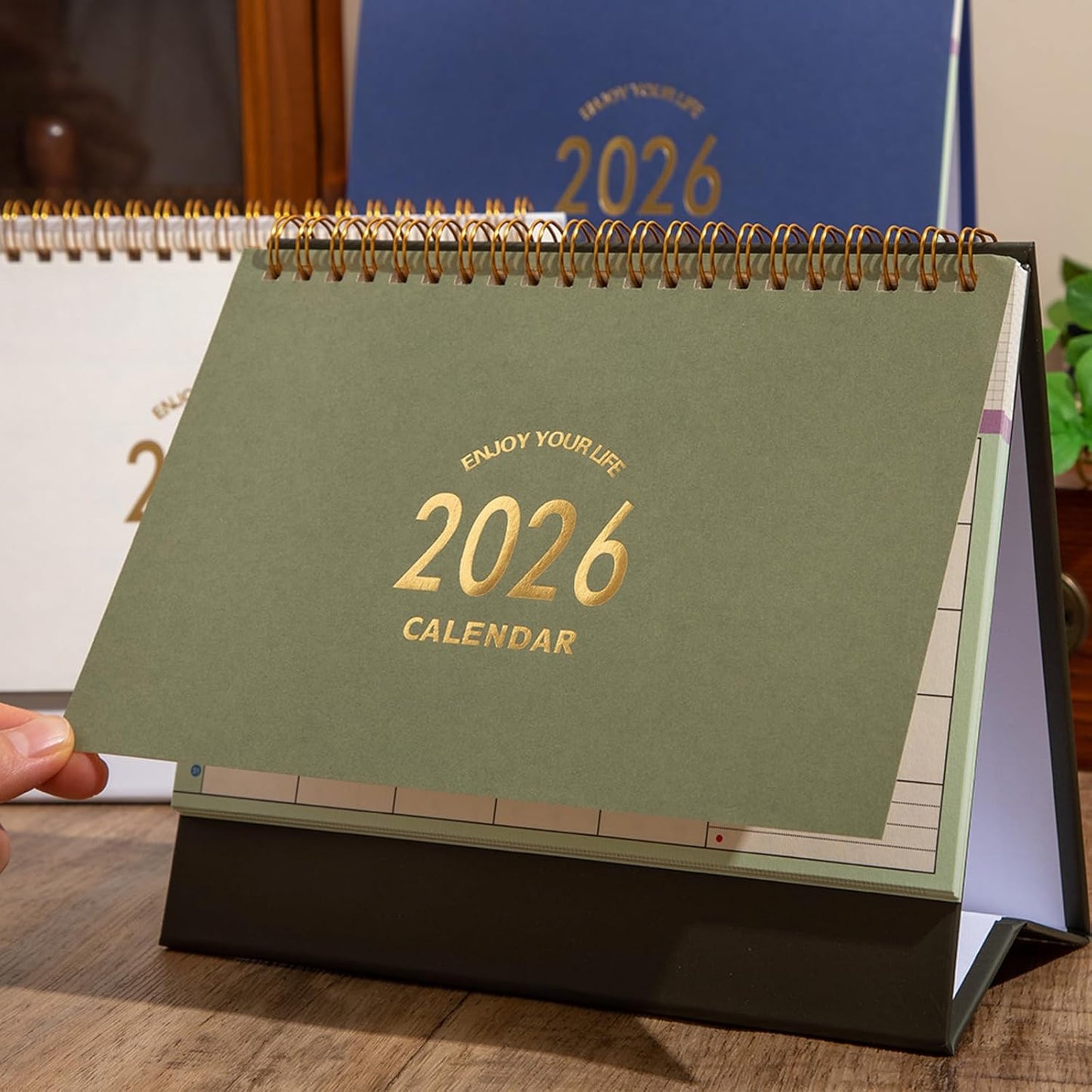 Desk Calendar 2025-2026, Standing Flip Desktop Calendar from July 2025 to December 2026 - Metal Ring Twin-Wire Binding 18 Months Medium Desk Calendar for Home Office School (L-Green)