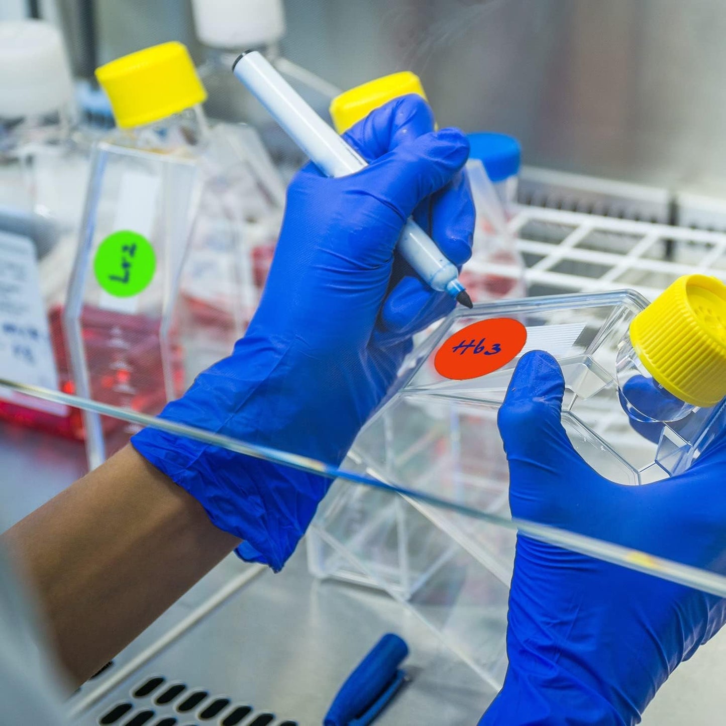 ChromaLabel 2 Inch Round Colored Stickers, Sticky Dots Color Coding Labels, Easy to Write On Colored Dot Stickers - 500 Sticker Labels per Roll, Matte Finish Fluorescent Pink - Case of 5