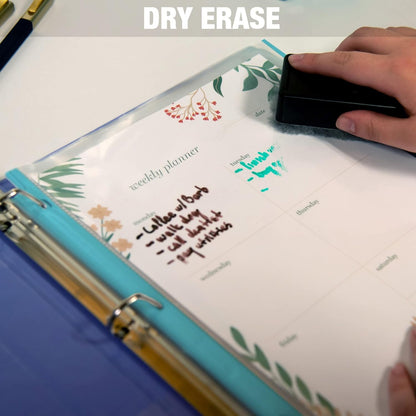 Samsill Color Edge Sheet Protectors 8.5 x 11 Inch, Page Protectors for 3 Ring Binder, Standard Weight, Clear Sheet Protector, Letter Size, Top Loading, Acid Free, 100 Pack