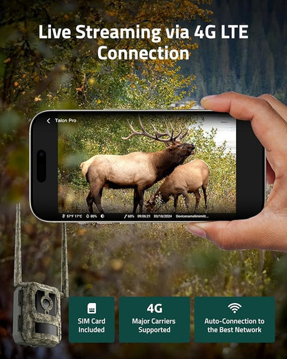 REOLINK 4K 3G/4G LTE 360° Cellular Trail Camera Outdoor 2-Hunting-Cam Bundle - Go Ranger PT Kit+Talon Pro Solar Kit, No-Glow IR, SIM Card Included, Smart Animal Detection, Waterproof for Wildlife