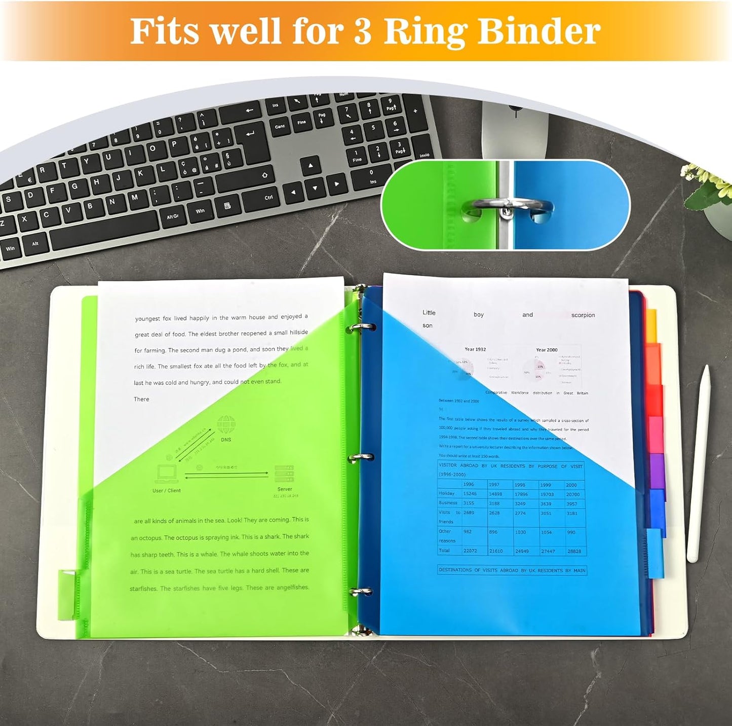 8-Tab Dividers for 3 Ring Binder, 24 Count Binder Dividers with Pockets, Subject Dividers, 3-Hole Plastics Sheets Protectors for US Letter Size in 0.5", 1",2" Binders, Vibrant 8 Color, 3 Packs