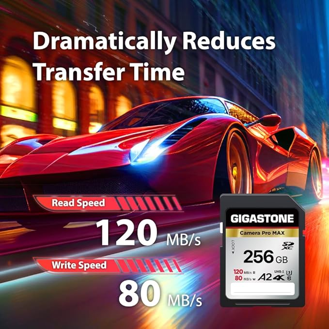 【5-Years Data Recovery】 GIGASTONE 256GB SD Card 2-Pack, 4K Camera Pro MAX, A2 4K SDXC Memory Card High Speed 4K UHD Video Compatible with Canon Kodak Digital Camera, with 2 Mini case