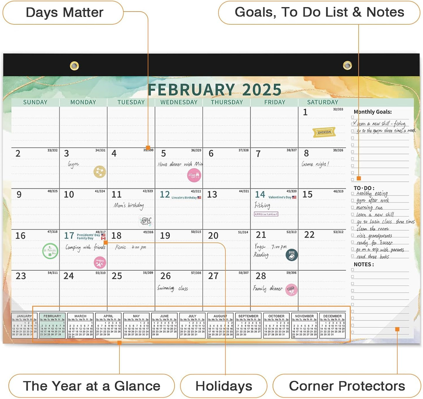 Ospelelf 2025-2026 Calendar Magnetic Desk Wall Desktop Monthly Planner from January 2025 to June 2026 Large To Do Pad with Plastic Cover for Office 17" X 12" Multicolor