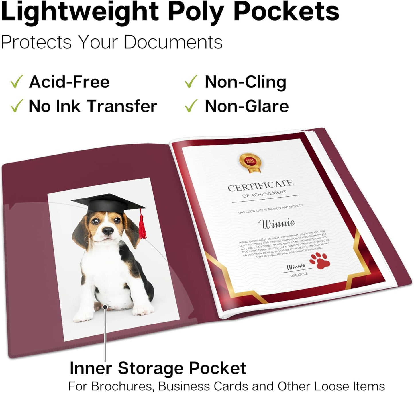 Dunwell Presentation Binder 24-Pocket, Displays 48 Pages, 8.5x11 Portfolio Binder with Plastic Sleeves, Storage and Organizer for Documents, Certificates, Projects, Photos (Ruby)