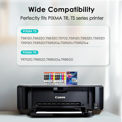 10 Pack 280 281 XXL Ink Cartridges Replacement for Canon 280XL 281XL Ink Cartridges PGI-280XXL CLI-281XXL for TR8620a TR8520 TR8620 TR8600 TR7520 TS6120 TS6220 TS9120 TS6320 TS8220 Printers