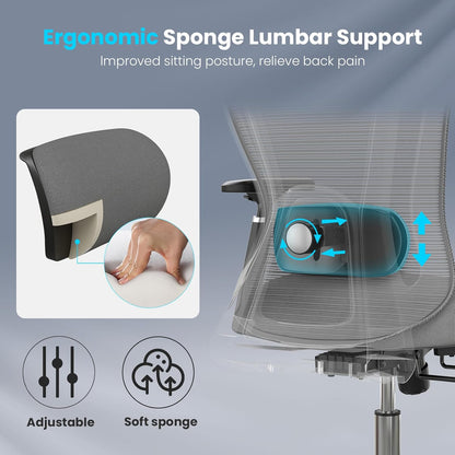 Farini Office Chair Ergonomic Desk Chair, High Back Computer Chair with Wheels, Home Sutdy Chair for Heavy People, Office Chair Adjustable Seat Depth, 3D Armrests and Adjustable Headrest, Gray