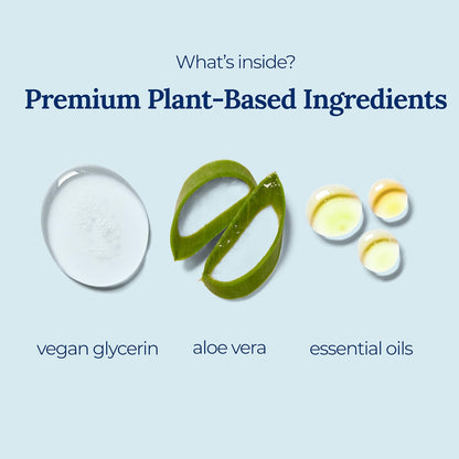 Tangerine Coriander Spray Hand Sanitizer | Travel Size | Hydrate & Cleanse | Made with Aloe Vera & Essential Oils | Green Tea Extract | Scented Travel Hand Sanitizer | Hand Sanitizer Spray | 6-Pack