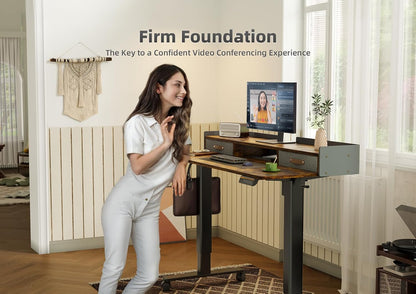 YDN Rustic Brown 2-Tier Adjustable Electric Standing Desk, 48 inch, Modern Design with 2 Drawers, Felt Fence, Hook, for Office