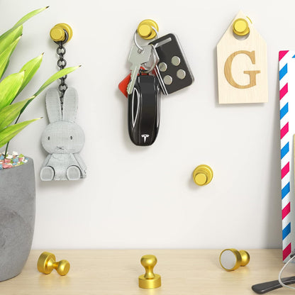 Grtard 24 Pack Magnetic Push Pins, Fridge Magnets for Whiteboard, Whiteboard Magnets Refrigerator Magnets, Small and Strong Push Pin Magnet for Office, School, Locker, and Map Magnet