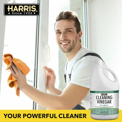 HARRIS Cleaning Vinegar All Purpose Household Surface Cleaner, 128oz (Eucalyptus) with Easy Pour Funnel Included
