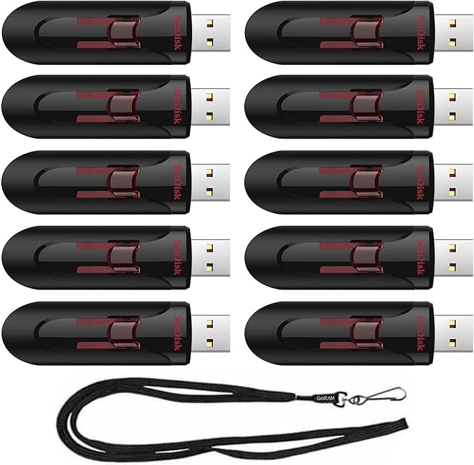 SanDisk 256GB (10 Pack) Cruzer Glide USB 3.0 Flash Drive SDCZ600-256G Bundle with (1) GoRAM Black Lanyard (256GB, 10 Pack)