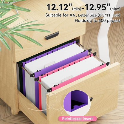 ANSOOK Plastic Hanging File Folders Letter Size, 3 Inch Reinforce Expanding File Folder,12 Pack File Cabinet Folders with Insertable 15 Tabs,Heavy Duty,Accordion File Organizer for Office Home School