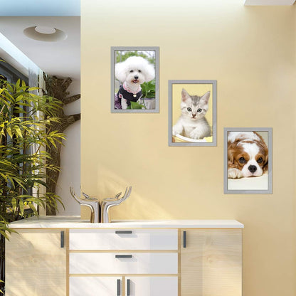 Document Sign Holder Pockets with Adhesive Back, Plastic Poster Picture Notice Display Frame for Window/Door/Wall/Cabinet, 8.5 x 11.6 Inches, Silver, 6 Pack