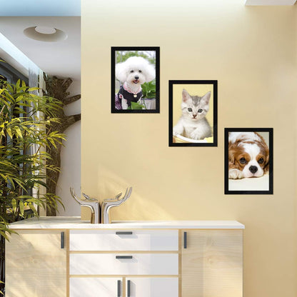 Document Sign Holder Pockets with Adhesive Back, Plastic Poster Picture Notice Display Frame for Window/Door/Wall/Cabinet, 8.5 x 11.6 Inches, Black, 30 Pack