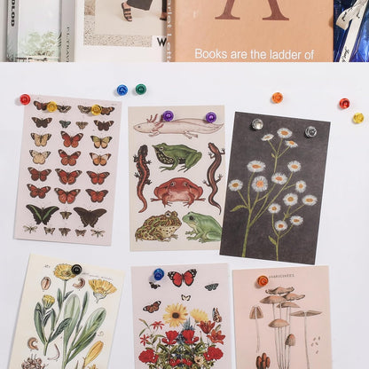 90 PCS Colorful Strong Magnetic Push Pin Magnets, 9 Assorted Color Magnetic Push Pin Magnets for Office, Classroom, Kitchen Home and School, Map Magnets, Whiteboard Magnets