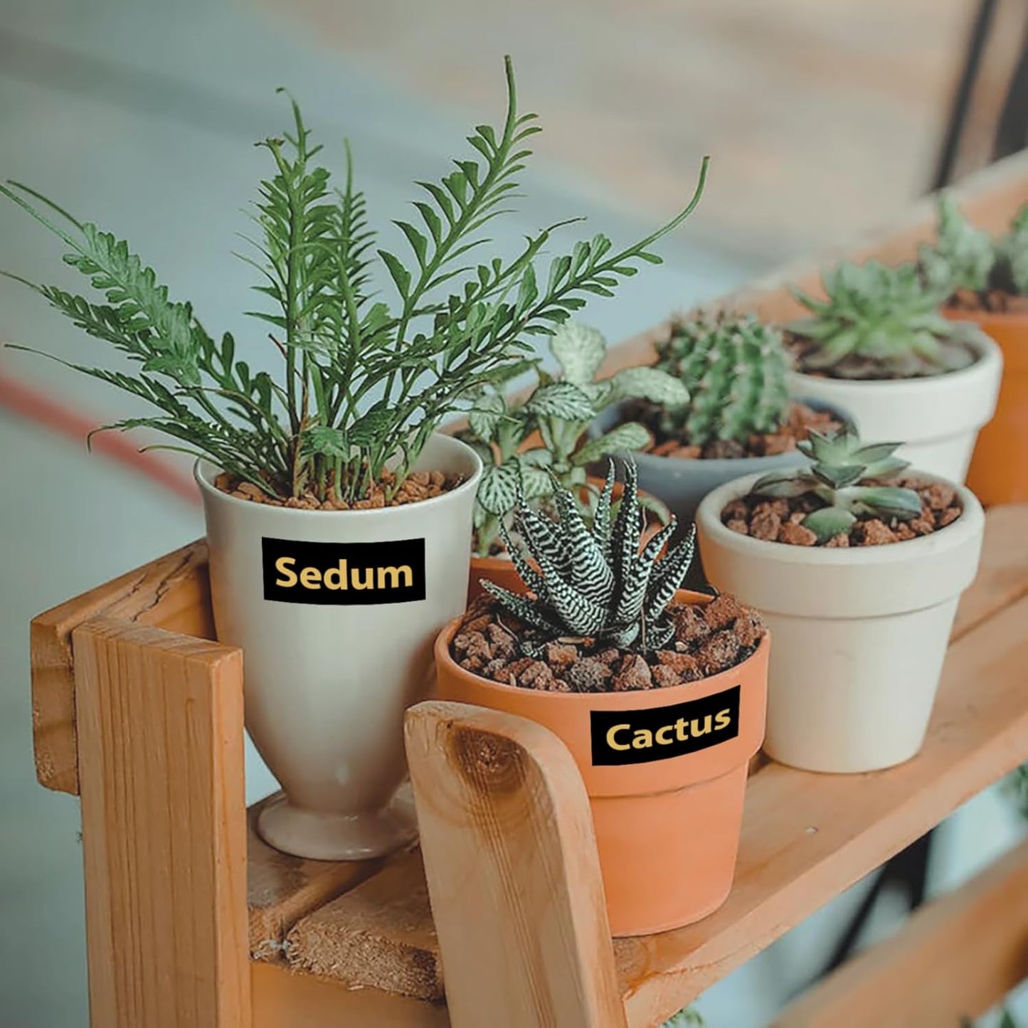 Label KINGDOM 24mm Gold on Black Label Tape Replacement for Brother P-Touch TZe-354 TZe354 1 Inch TZe Tape 24mm 0.94 Laminated Black Compatible with Brother Ptouch PTD600 PTP700 PTP750W PT2730, 3-Pack