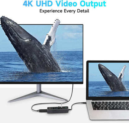 RSHTECH USB C Hub Dongle Adapter with 4K HDMI, 3 USB 3.0 Data Port, 100W Power Delivery, SD/TF Card Reader, Aluminum USB-C/Thunderbolt 3 Hub Dock for PC and Laptop, RSH-T16