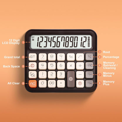 Pendancy Desk Calculator 12 Digit, Retro Cute Basic Calculator with Extra Large LCD Display and Buttons, for Office, School, Home Use