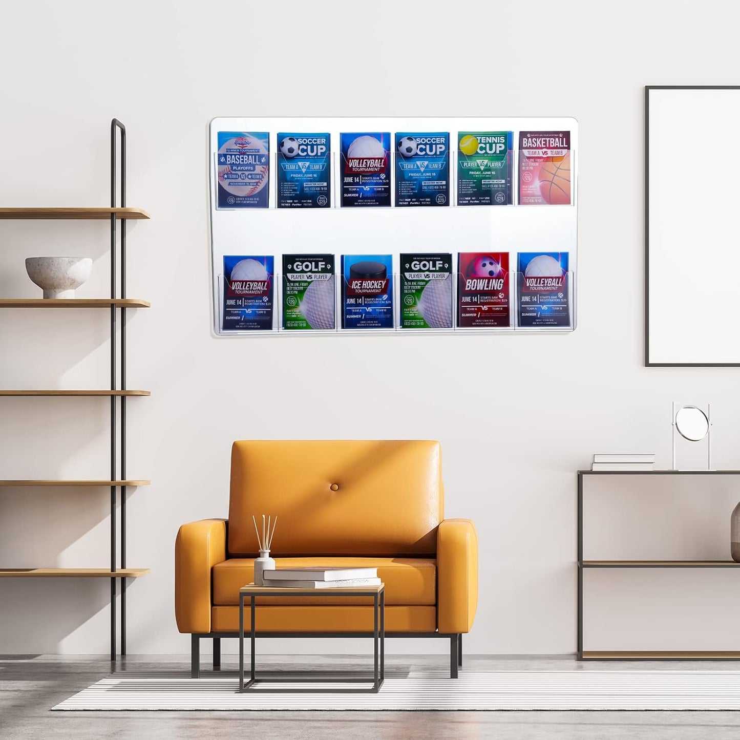 Eersida 2 Pack Acrylic Brochure Pamphlet Holder Wall Mount Clear Brochure Display Holder Plastic Trifold Flyer Rack Literature Storage Rack for Offices Waiting Room (12 Pockets, 25 x 15 Inch)