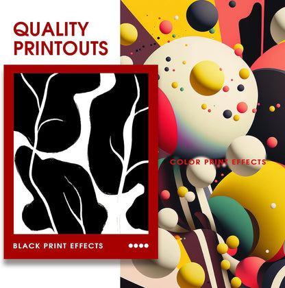 245XL 246XL Combo Pack Compatible for Canon Ink 245 and 246 PG-245 CL-246 Works with Canon MX490 MX492 MG2522 MG3029 TR4520 TR4522 TR4500 TS3122 (1Black, 1Color) 2Pack