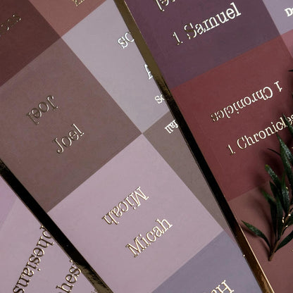 UPAFEXXI-Laminated Bible Tabs for Women and Men (Gold Foil Embossed Lettering) Reposition Large Print tabs, Easy to Read and Apply, 80 Bible Chapters Labels for Easy Navigation(Earth Tone Theme)