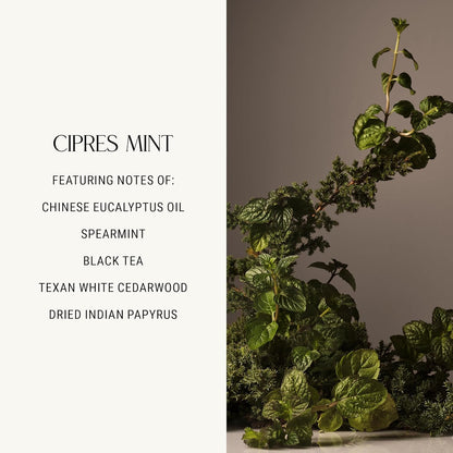 Homecourt All-Purpose Surface Cleaner Spray, Lifts Away Dirt, Smudges & Grease, For Bathroom, Kitchen & more, Clean Formula, Cipres Mint, 16 fl oz