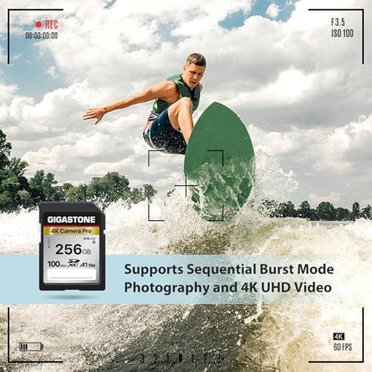 【5-Years Data Recovery】 GIGASTONE 256GB SD Card with USB Type C Card Reader, 4K Camera Pro, A1 V30 U3 SDXC Memory Card Compatible with Canon Digital Camera, with 1 Mini case