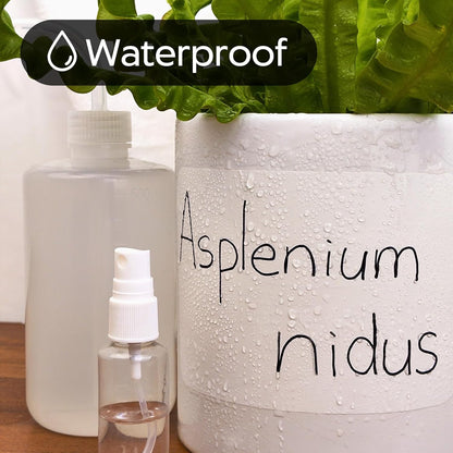 100Pcs Large White Labels for Storage Bins,6x4 Inch Removable Labels,Large Labels for Blank Box,Strong Adhesive Tear Resistant No Residue Blank Labels (White)