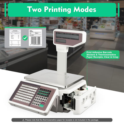 Label Printing Scale with Dual TD Thermal Label & Receipt Printer, 110-220V Electronic Price Computing Scale Pole Display, 66LBS Commercial Barcode Scale for Retail Outlet Store Food Meat Shop
