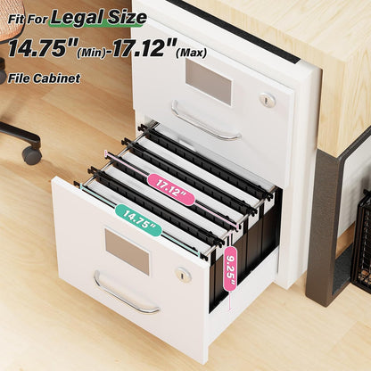 Extra Capacity Legal Size Plastic Hanging File Folders,2" Expanding Accordian Pocket with Black Insert Gasket,Heavy Duty for Filing Cabinet,Hard and Durable Hang Folders,Legal Size,12 Pack(Black)