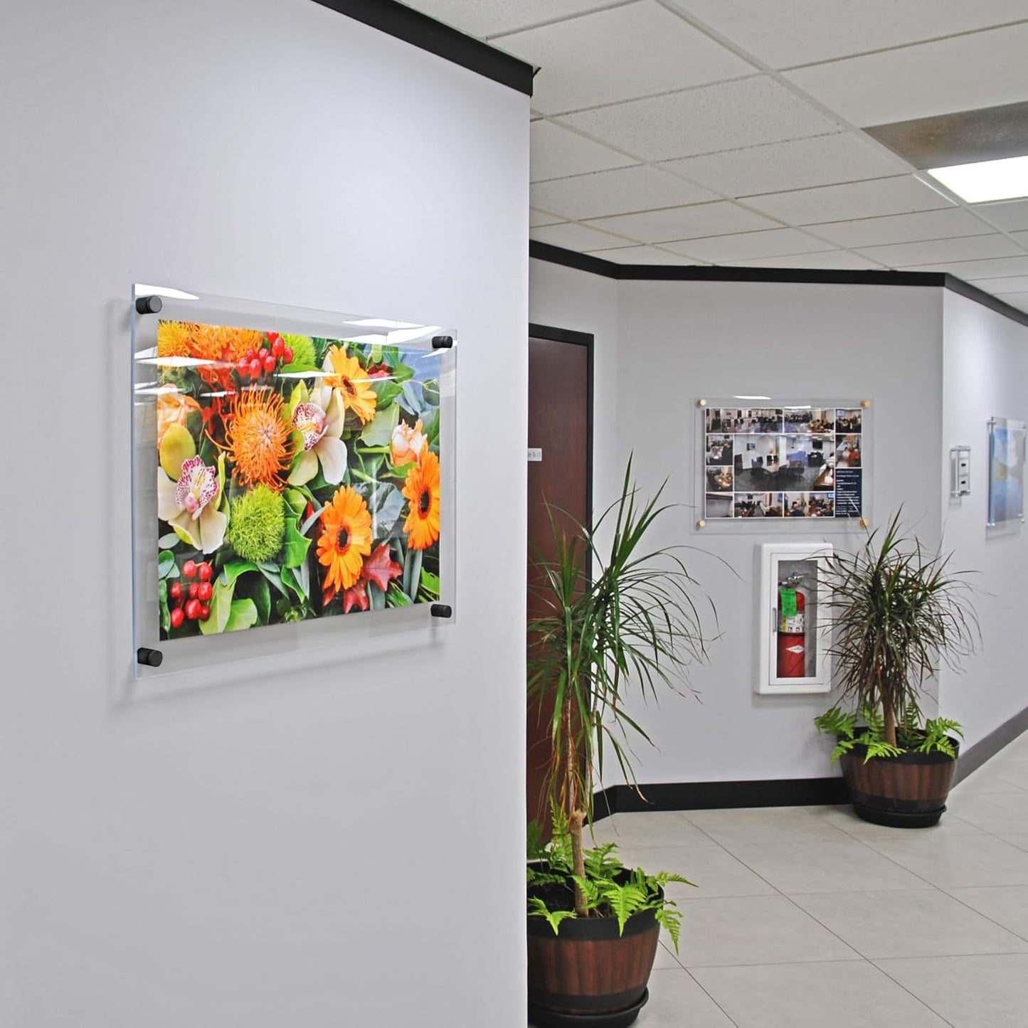 Azar Displays 105530-GLD Acrylic Floating Double Panel Wall Frame,22" x 28" Graphic Size, Overall Frame Size: 26" x 32", Gold