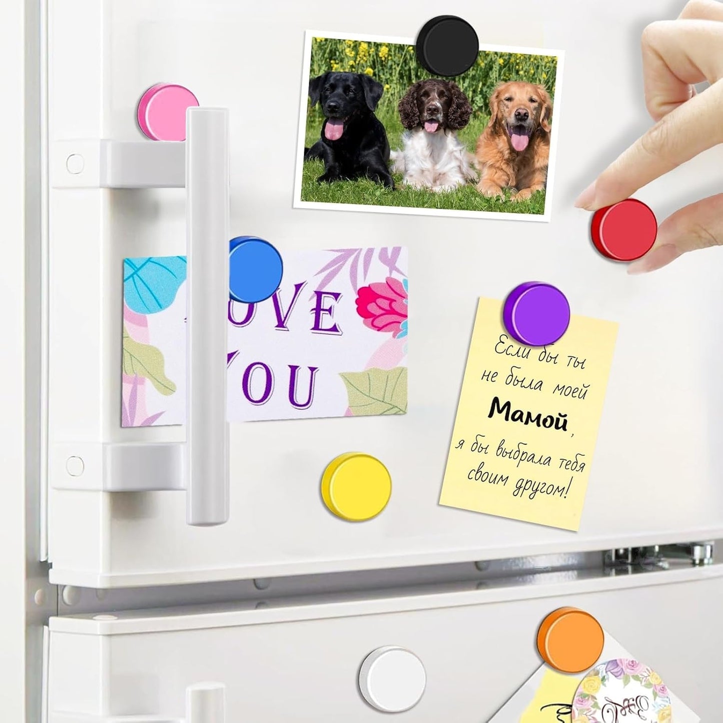 Qualsen Fridge Magnets, 50pcs Refrigerator Magnets, Small Magnet for Whiteboard Magnet for Kids, Mini Cute Magnets for Fridge, Locker, White Board, Kitchen, Office, Classroom(10 Colors)