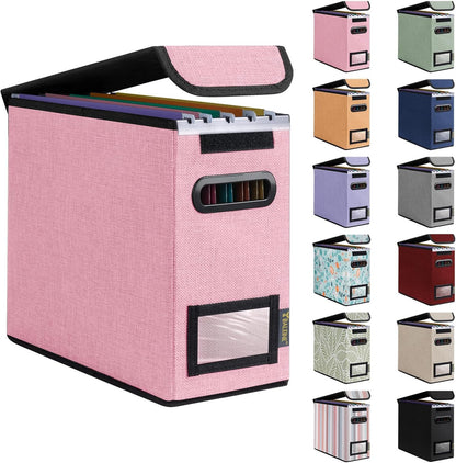 BALEINE File Organizer Box with Lid, Collapsible File Folder Organizer with Plastic Slide, Hanging File Folder Box for Office Document Storage (1 Pack, Pink, S)