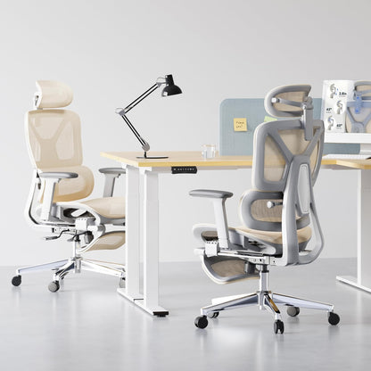 FLEXISPOT ErgoX Premium Ergonomic Office Chair with Footrest- Adjustable 3D Armrests, Dynamic Lumbar Support, Recline & Tilt Function, Mesh Seat, for Home & Office Use,Cream