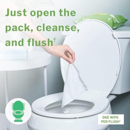 McKesson Flushable* Adult Wet Wipes – 576 Wipes (12 Pack of 48) – Aloe & Vitamin E, Plant-Based Cleansing Wipes, Scented