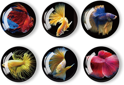 12Pcs Glass Strong Magnetic Refrigerator Magnet Fridge Sticker,Fish Fridge Magnets Decoration for Crafts,Strong Fridge Magnets for Kitchen, School,Office Whiteboard, Cabinet and Dishwasher