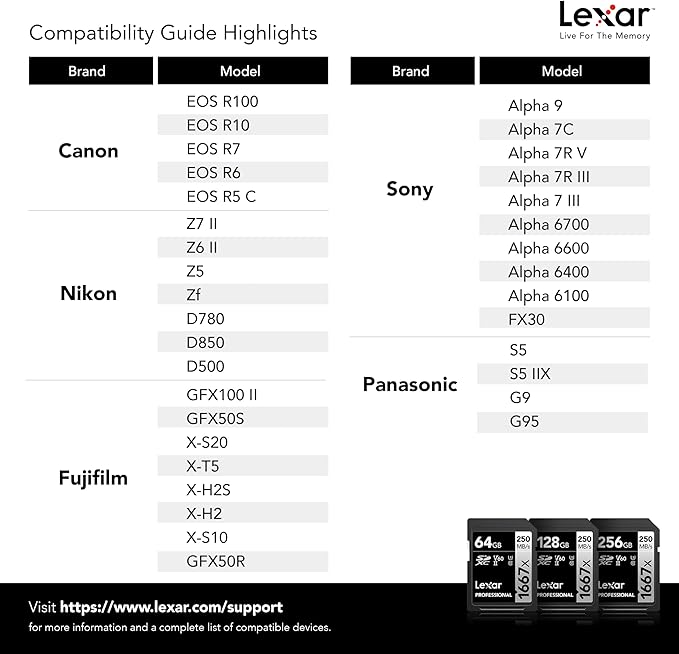 Lexar 256GB (2-Pack) Professional 1667x SD Card, UHS-II, C10, U3, V60, Full HD, 4K, Up To 250MB/s Read SDXC Memory Card, for Professional Photographer, Videographer, Enthusiast (LSD1667256G-B2NNU)