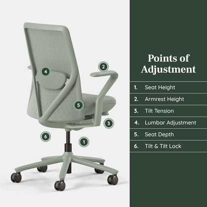 Branch Verve Chair - High Performance Executive Office Chair with Contoured Seat Back and Adjustable Lumbar Rest - High Density Foam Cushion with Aluminum Base - Up to 275 lbs - Mint