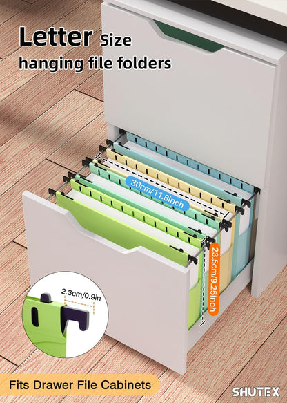 Extra Capacity Plastic Hanging File Folders,12 Pack Reinforced Hang Folder,Heavy Duty 2 Inch Expansion,Filing Cabinet Folders Letter Size for Bulk Files/Medical Charts (Morandi Colors)