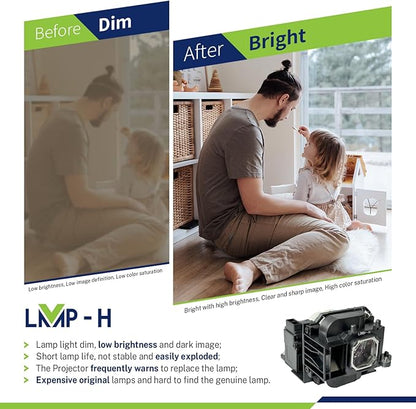 NP23LP Replacement Projector Lamp Bulb with Housing Compatible with for NEC P401W P451W P451X P501X NP-P501X P501XG P501XJL P501XJL-N3 PE501X PE501XJL PE501XJL-N3 P401W P401WG P401WJL